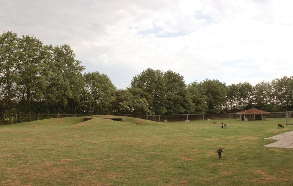 Het Familie Boshuisje - Vakantiewoning Op Prachtig Park Met Veel Faciliteiten Inc Ligbad Gramsbergen ภายนอก รูปภาพ